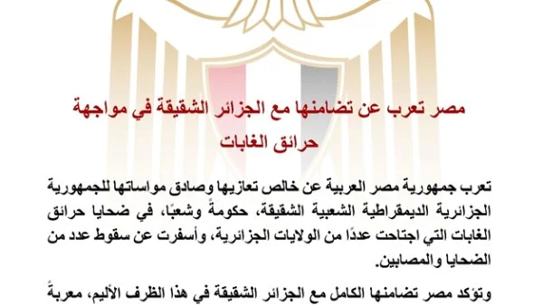مصر تؤكد تضامنها القوي مع الجزائر في مواجهة حرائق الغابات المدمرة