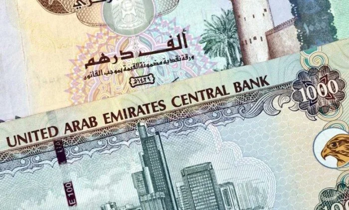 استقرار سعر الدرهم الإماراتي في السوق المصري اليوم الخميس 23 يوليو 2026