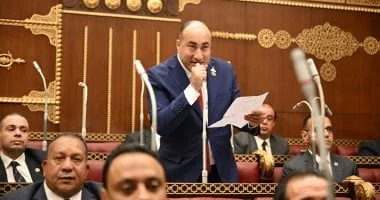 عمرو رشاد: كلمة السيسي تعكس التزام الدولة المصرية بتعزيز التنمية والأمن في ظل التحديات