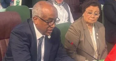 مصر تتصدر القمة الاستثنائية للصحة في أفريقيا برئاسة نائب وزير الخارجية