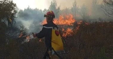الجزائر تعلن عن خطة عاجلة لتعويض ضحايا حرائق الغابات ووفد وزاري يزور عائلات المتضررين