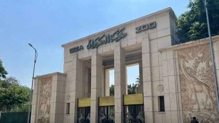 حديقة الحيوان بالجيزة تستعد لافتتاحها بعد 3 سنوات من التطويرات الشاملة: تجربة جديدة تنتظر الزوار في 2026