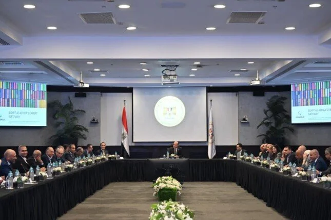 اجتماع استراتيجي بين وزير الاستثمار ومجموعة موانئ دبي لتعزيز صادرات مصر إلى إفريقيا