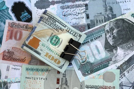 استقرار سعر الدولار أمام الجنيه المصري في البنك الأهلي اليوم 25 يوليو 2026