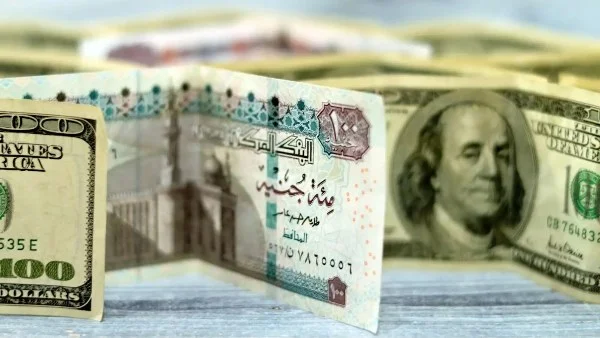 استقرار ملحوظ في أسعار الدولار مقابل الجنيه المصري اليوم