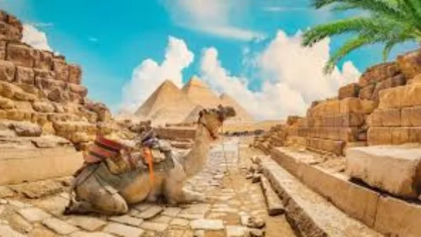 مصر تستعد للمشاركة في معرض "TITF" بأوزبكستان لتعزيز السياحة العالمية