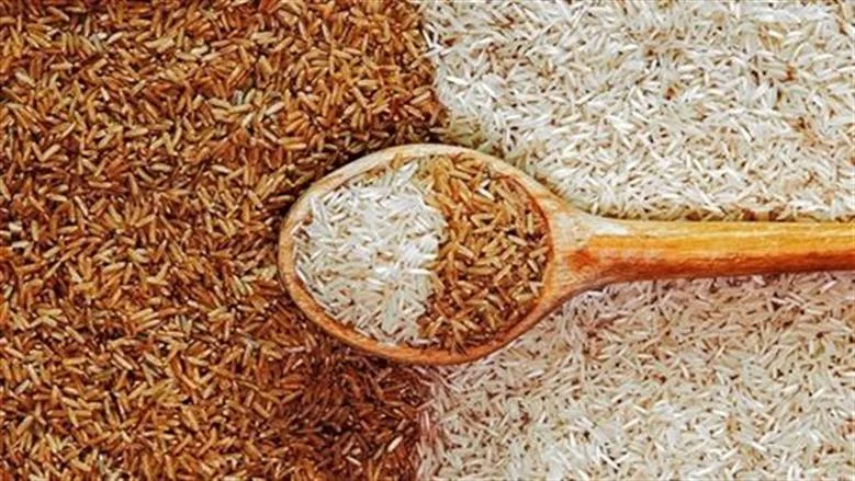 استقرار أسعار الأرز في مصر: الطن الأبيض يبدأ من 22 ألف جنيه وسط وفرة في المعروض