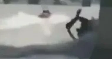 اصطدام زورق شرطة بجسر ويستمنستر بلندن يتسبب في سقوط ضباط في نهر التايمز - تفاصيل الحادث تتصدر الأخبار