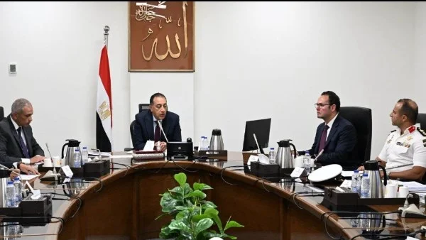 مجلس الوزراء يطلق خطة شاملة لمواجهة ظاهرة الكلاب الضالة في مصر