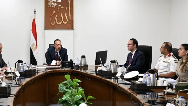 مدبولي: استراتيجية حكومية شاملة لمواجهة ظاهرة الكلاب الضالة في مصر