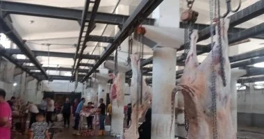 استراتيجية جديدة لدعم الاقتصاد المحلي: توسيع الأسواق والمجازر وتطوير التكتلات الإنتاجية في 2026/2027