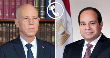 السيسي وسعيد يؤكدان أهمية الحلول الدبلوماسية لتعزيز التعاون بين مصر وتونس