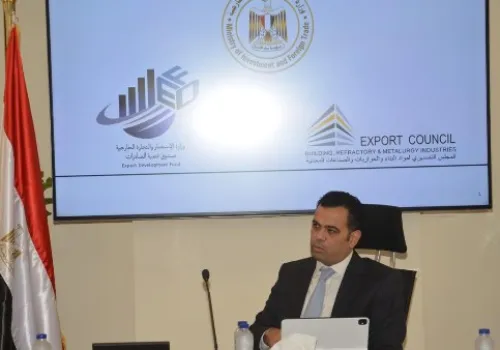حاتم النواوي: استراتيجية جديدة لتعزيز صادرات مصر وزيادة القيمة المضافة للمنتجات