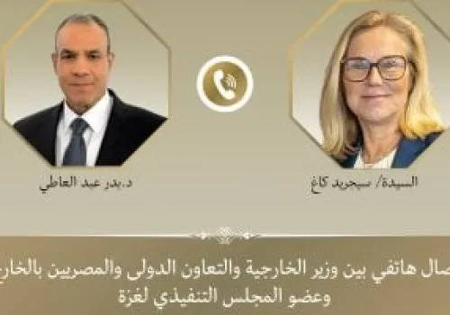 وزير الخارجية المصري يناقش مع عضو المجلس التنفيذي لغزة سبل التهدئة وتخفيف الأزمة الإنسانية