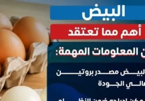 وزارة الصحة: البيض عنصر غذائي أساسي لتحقيق توازن صحي في النظام الغذائي