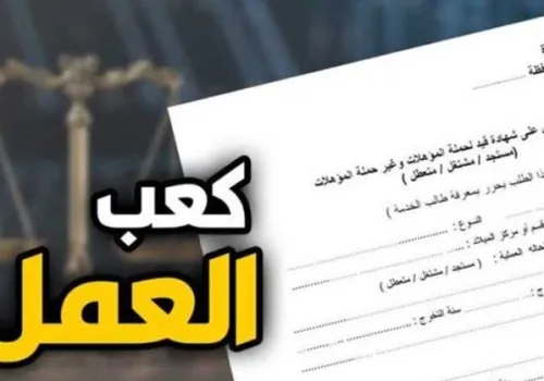 خطوات بسيطة لاستخراج كعب العمل إلكترونيًا: دليلك للحصول على الوثيقة الأساسية للوظائف في مصر