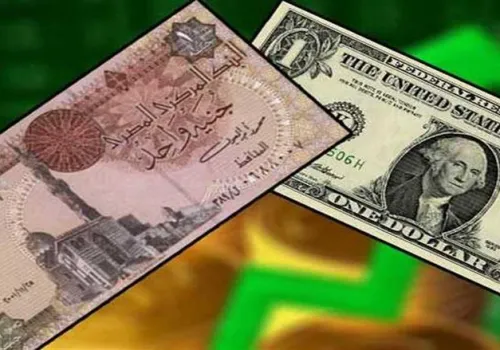 استقرار ملحوظ في سعر الدولار مقابل الجنيه المصري مع بدء تعاملات الأربعاء 22 يوليو 2026