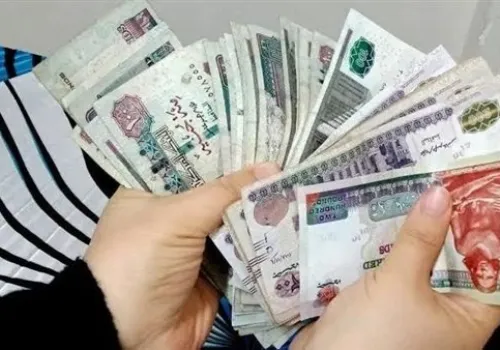 وزارة التضامن الاجتماعي توضح شروط الحصول على قروض تكافل وكرامة لدعم الأسر المحتاجة