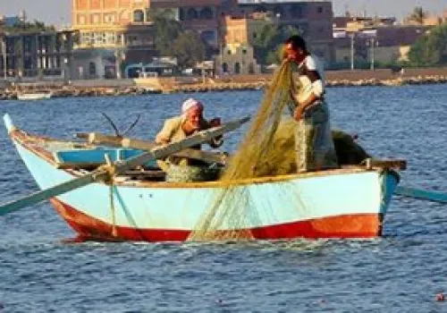 تشديد العقوبات على إنشاء الأقفاص السمكية بالبحيرات دون ترخيص لحماية الثروة السمكية