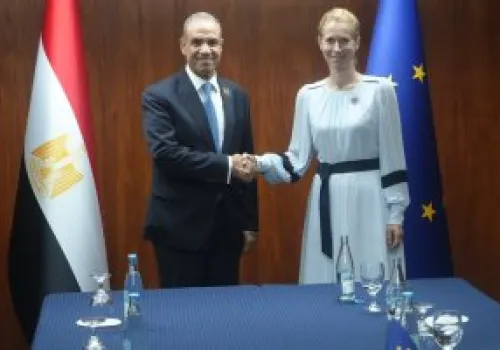 وزير الخارجية المصري يبحث مع مسؤولة أوروبية التحديات الاقتصادية الناتجة عن استضافة ملايين اللاجئين والمهاجرين