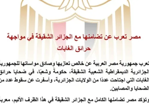 مصر تؤكد تضامنها القوي مع الجزائر في مواجهة حرائق الغابات المدمرة