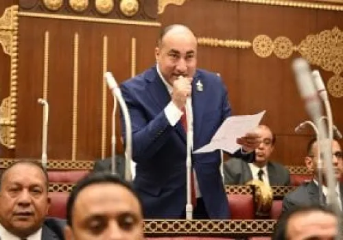 عمرو رشاد: كلمة السيسي تعكس التزام الدولة المصرية بتعزيز التنمية والأمن في ظل التحديات