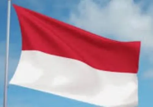 إندونيسيا تؤكد على ضرورة حماية الملاحة بعد هجمات الحوثيين على ناقلات النفط في البحر الأحمر
