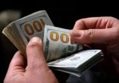 استقرار أسعار الدولار في البنوك المصرية مع تسجيل أعلى سعر عند 51.44 جنيه