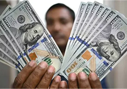 استقرار سعر الدولار الأمريكي مقابل الجنيه المصري في 25 يوليو 2026