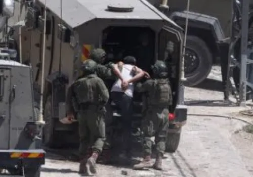 سلطات الاحتلال تصدر أوامر عسكرية جديدة للاستيلاء على أراضٍ وإزالة أشجار زيتون في جنين