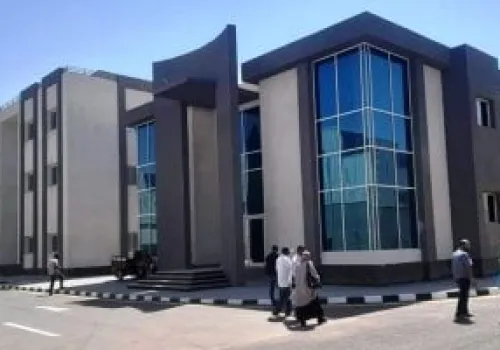 استراتيجية جديدة تعيد تشكيل مستقبل المشروعات الصغيرة من خلال التحول الرقمي والشراكات الفعالة