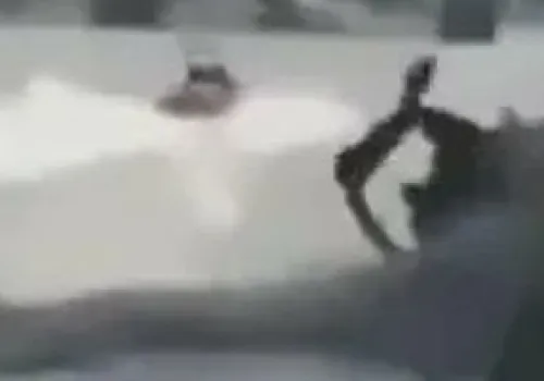 اصطدام زورق شرطة بجسر ويستمنستر بلندن يتسبب في سقوط ضباط في نهر التايمز - تفاصيل الحادث تتصدر الأخبار