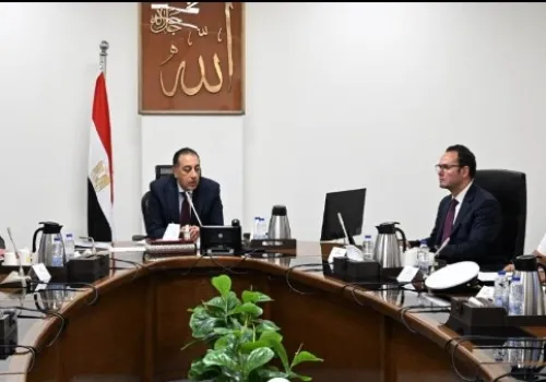مجلس الوزراء يطلق خطة شاملة لمواجهة ظاهرة الكلاب الضالة في مصر