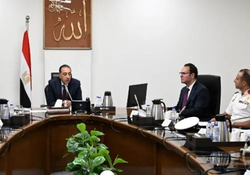 مدبولي: استراتيجية حكومية شاملة لمواجهة ظاهرة الكلاب الضالة في مصر