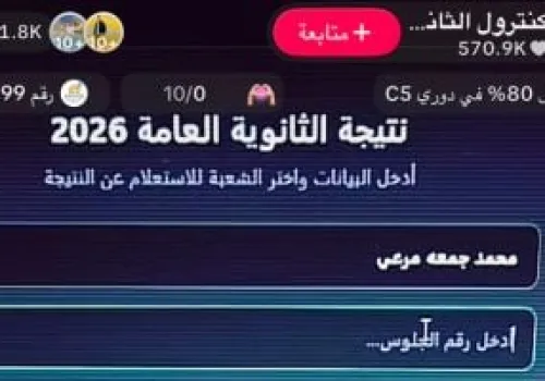 نتائج الثانوية العامة في قبضة المحتالين: كيف يستغل 'تيك توك' مشاعر القلق لتحقيق الأرباح